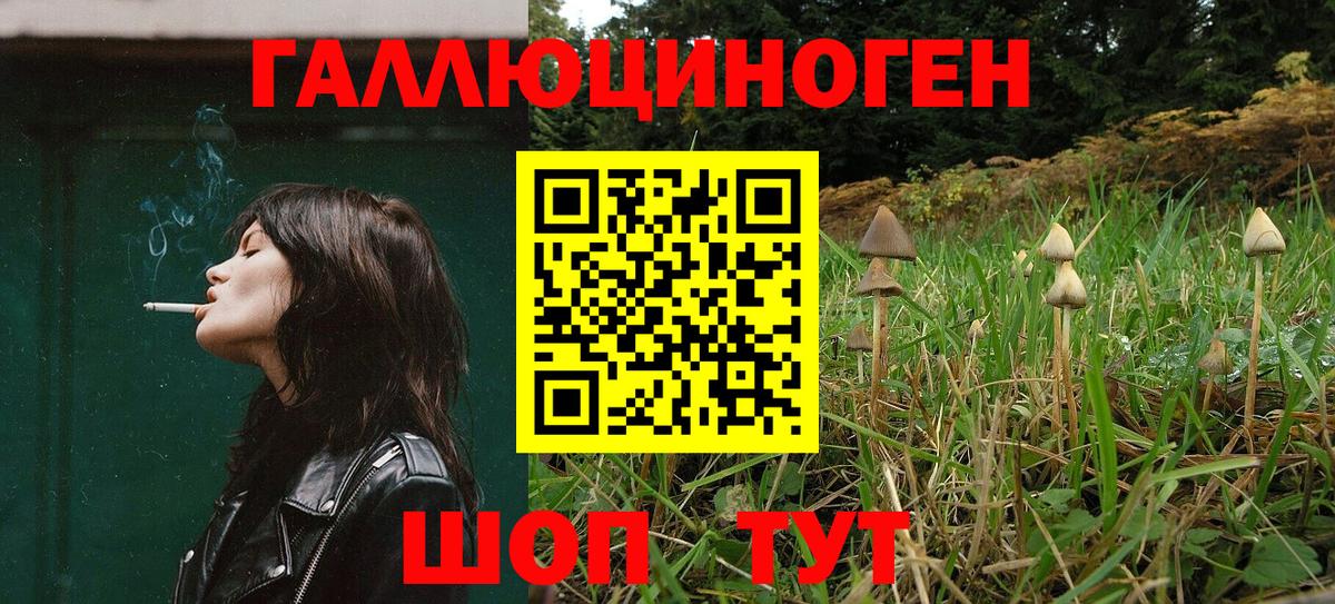 Псилоцибиновые грибы Psilocybe Йошкар-Ола