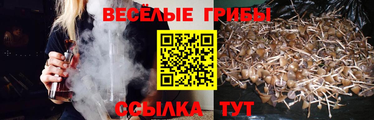 Псилоцибиновые грибы прущие грибы  Вход с VPN  Йошкар-Ола  Галлюциногенные грибы ЛСД 